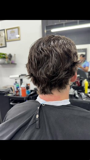 Mullet/Flow Haircut Before and After Transformation