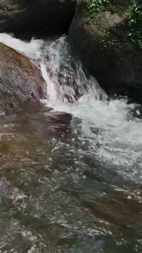 stream sounds | relaxing #shortvideo #relaxing #streamsounds