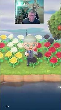 Oh No Look What I Caught On Animal Crossing New Horizons - #shorts