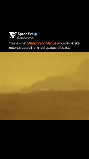 Venus is hidden behind permanent cloud cover, so most surface views come from radar mapping and lander measurements. This recreation uses mission data to visualize the planet’s rocky plains and harsh atmosphere, where pressure is crushing and temperatures are hot enough to melt lead. #Venus #PlanetaryScience #SpaceData #SolarSystem | SpaceEve