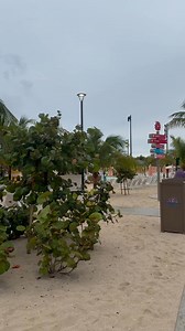 ✨ Let’s take a mini tour of Celebration Key! Who’s ready for some island vibes? ️ #CarnivalCruise #CelebrationKey #IslandVibes #CruiseLife #FunAtSea Part 1 | Carnival Cruise Line Miami Blog | Facebook