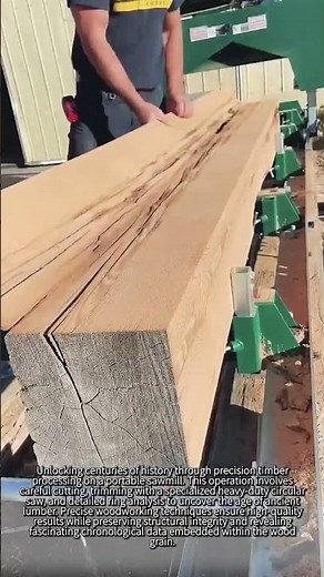 Counting 350 Years Inside This Ancient Log #worker #process #woodworking #sawmill #history