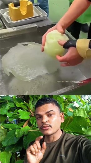 DANGEROUS Cabbage Scams Exposed Are You Buying FAKE Cabbage? #FakeCabbageAwareness #FoodSafetyTips