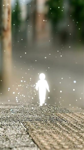 横断歩道・自転車横断帯くん