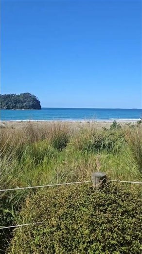 BEACH PREFECTION☀️🇳🇿 #classicalmusic