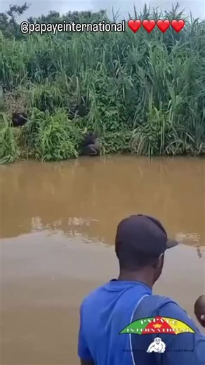 Yanick Noah officiel ✅ (@yanick.noah.officiel)’s videos with son original - Yanick Noah officiel ✅