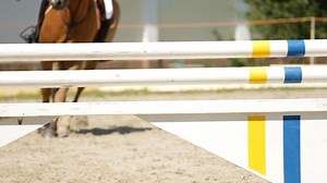 clip-1307863-equestrian-show-jumping