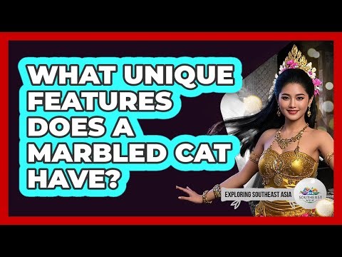 What Unique Features Does A Marbled Cat Have?
