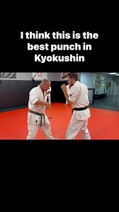 I think this is the best punch in Kyokushin… the Shita tsuki… body punch. #bodypunch #kyokushin #thephoenixway | The Phoenix Way