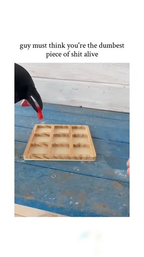 memer boy on Instagram: "The post humorously quotes a viral video of a raven outsmarting a human at tic-tac-toe, implying the bird views the player as utterly inept, amassing over 138,000 likes for its witty take on animal superiority. Ravens, part of the corvid family, demonstrate remarkable cognitive abilities; a 2017 study in Science showed New Caledonian crows—close relatives—planning tool use up to 10 steps ahead, underscoring why such games highlight their problem-solving prowess over simp