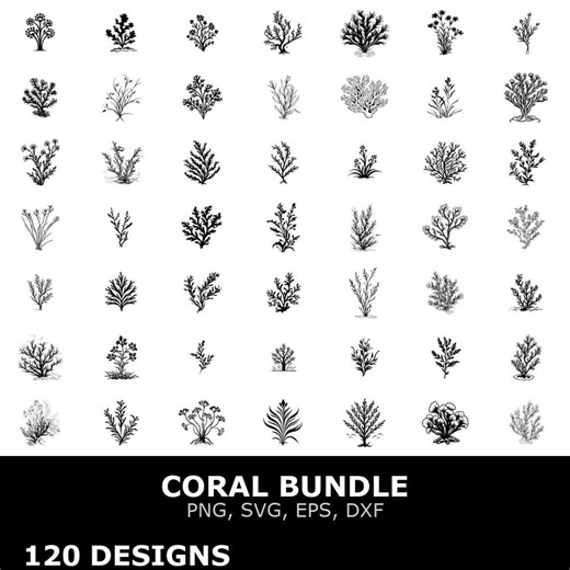 Coral Digital Clipart Bundle Svg Png Eps Dxf for Cricut Cutting Files Graphic Art DIY Projects - Etsy
