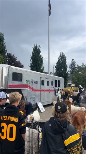 Fall Fest is in full swing in the South Plaza! Come stop by the petting zoo! 🐐 | Hamilton Tiger-Cats