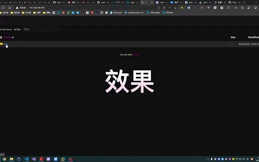 Caddy：简单而强大的文件下载服务器，不只是Web服务器！
