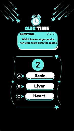 Which organ work non stop? #facts #quiz #leran #questions #viral #quizvideos #follow