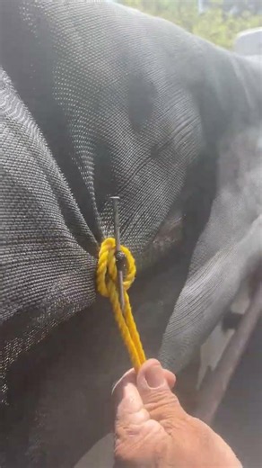 How to tie ropes to secure tarp #tips #tipsandtricks #howto #ropa