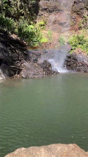 Springbrook