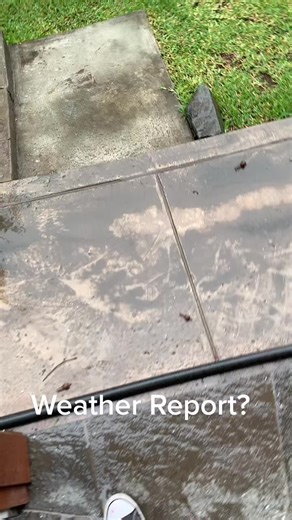 Exploring Weather Report in JoJo's Bizarre Adventure