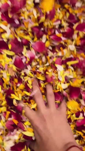 The flower festival was a lot of fun 🌸🌸🌸