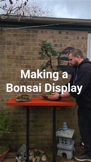 Making a Bonsai Display for the garden. #Bonsai #bonsaitree #garden #japan