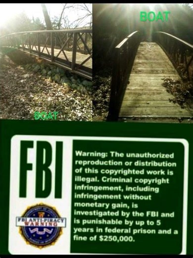Boat Logo FBI Warning screen (2014)