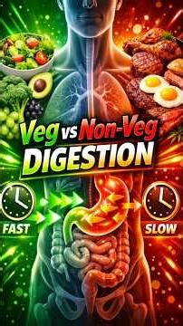 How Long Do Veg, Non-Veg, and Egg Foods Take to Digest? By VMC Medical