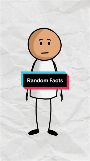 Discover Intriguing Random Facts About Animation