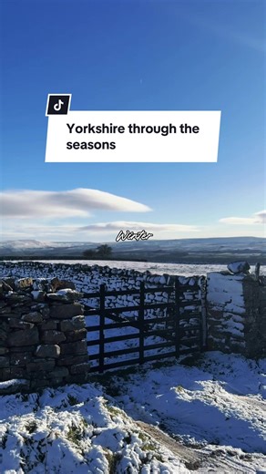 Exploring Yorkshire's Beauty Throughout the Seasons