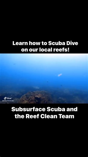 Want to Learn how to Scuba Dive? Maybe just Try Scuba Diving with NO...