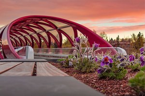 11 spots in Calgary to snap photos for the perfect spring shot | Lifestyle