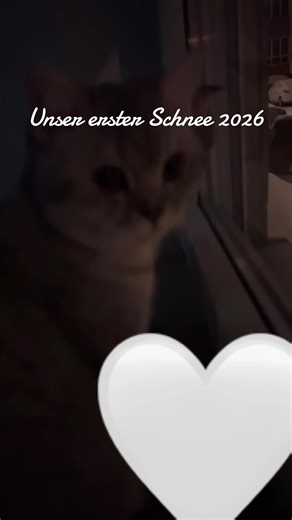 #foryou Dieses Jahr ist unser erster Schnee den wir sehen und es sieht so interessant aus wie der sich wohl anfühlt?🤍🤍