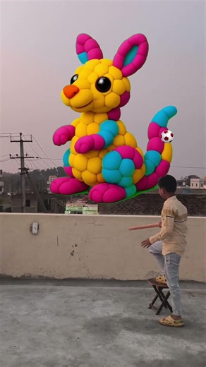 The Creative Kangaroo Mascot Takes Over the Football Field