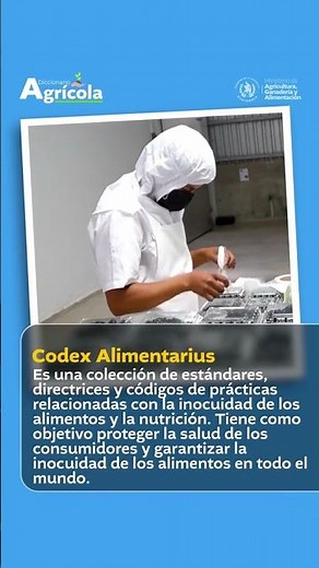 What is Codex Alimentarius? 🌾