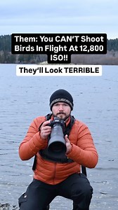 21K views · 12K reactions | Comment “ISO” to watch my latest video on the subject! We always hear that shooting at high ISOs is “totally fine”—but is it really? I put it to the test, and the results were pretty surprising. . . . . . . . . . . . #wildlifephotography #birdphotography #NikonCreators #nikonca #nikon_canada #canada #birdingtours #birdtours #cangeo | Trav in the Bush | Facebook