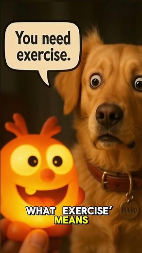 #funnyshorts AI Treadmill Fail 😂 Dog Gets Launched While Exercising! | Funny Dog Shorts