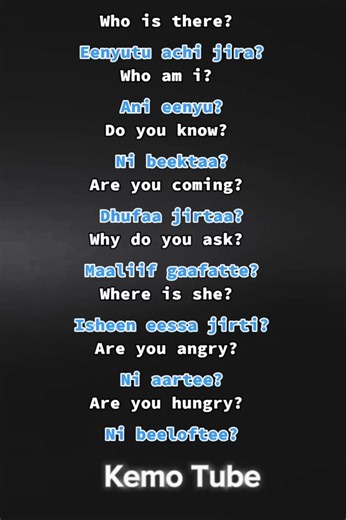 Ethiopian TikTok: Who's There? And You? - Oromo Idioms Explained!