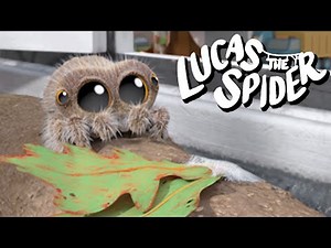 Lucas the Spider Fixes Up Tree + More Cartoons for Kids