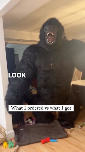 149 reactions · 7 comments | It said “huge” but we didn’t expect THIS huge  Bob really wanted this gorilla suit for his birthday party in the name of his favorite VR Game “Gorilla Tag” and let’s just say it exceeded our expectations by tenfold 轢 #gorillatagvr #whatiorderedvswhatigot #aliexpress #gamerlife | Angie Goff | Facebook