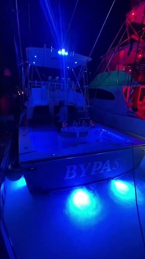 Fully restored and modernized 32' Blackfin "Bypass" See more boats: https://www.dailysportfish.com/