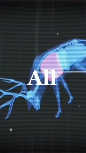 GIVE ME TIPS! #callofthewild #cotw #fypシ #hunting #hunterxhunter