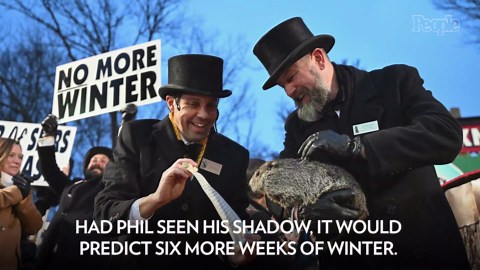 Groundhog Day 2024: Punxsutawney Phil Predicts an Early Spring