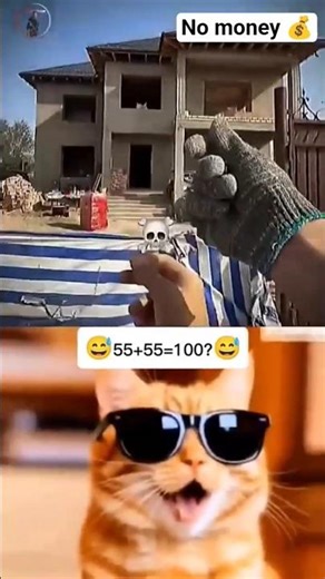 #132 🤫 #roblox Bis zum Ende! 🤯 #cat #memes #deutschland #funny #witzig #absurderhumor #memes #funny