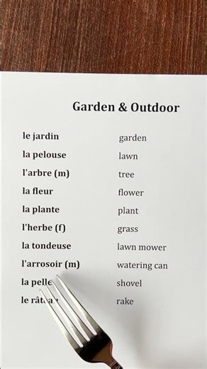 Garden and outdoor