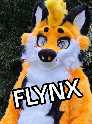 FLYNX THE FOX A new fox is appeared! First plantigrade and first freestyle collab with @theshinyraccoon for the design. Commission, NOT FOR SALE 🟠Moving jaw 🟠Sublimated and waterproof eyes 🟠Pickable nose 🟠Magnetic tounge 🟠Plantigrade bodysuit 🟠Nose and pads squakers 🟠Head fan 🟠Multicolor eyes LEDs #hellpackfursuits #furry #fursuit