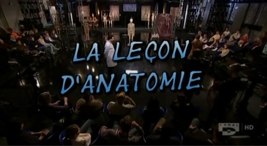 La leçon d'anatomie - leçon 1 - le mouvement