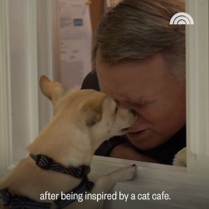 1M views · 8.3K reactions | Fido’s taphouse in Portland, Oregon, helps dogs from high-kill shelters get adopted into forever homes. Created by TODAY and sponsored by American Express | Today Show | Facebook
