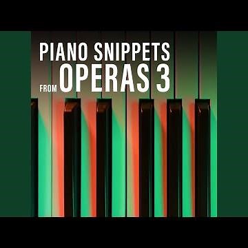 The Abduction from the Seraglio - Overture