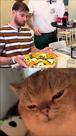 #cat #memes #dance #funny #trending