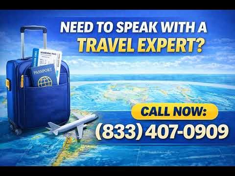 American Airlines Customer Support | Full Step-by-Step Guide