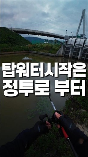 탑워터 시즌의 시작 #강준치 #배스낚시 #루어낚시 #배스 #루어 #bassfishing #lurefishing #bass #lure #バス釣り #バスフィッシング