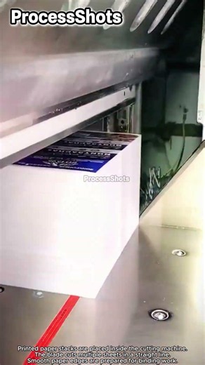 Industrial Paper Stack Cutting Process Work #worker #process